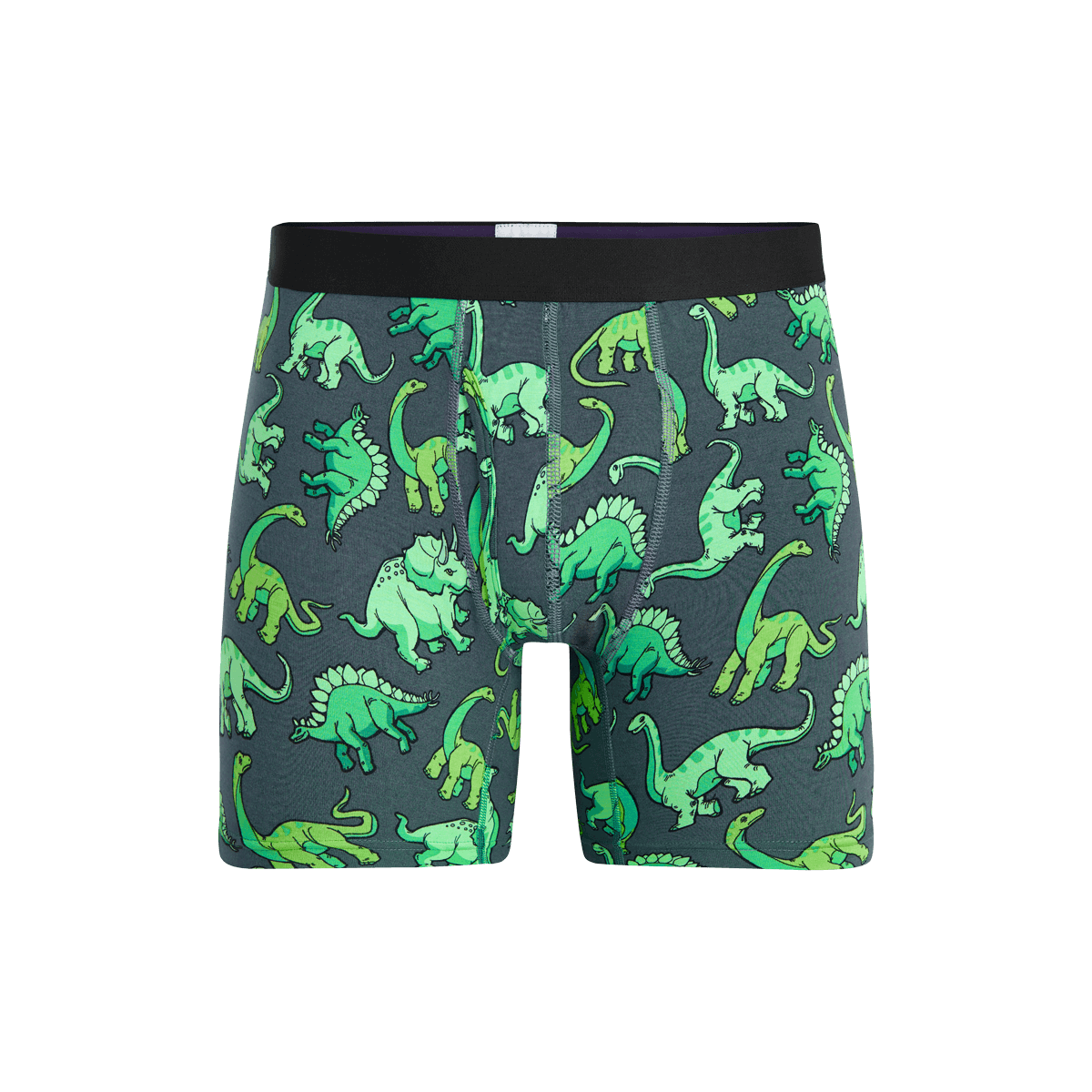 Boxer Brief w/ Fly | Dinos