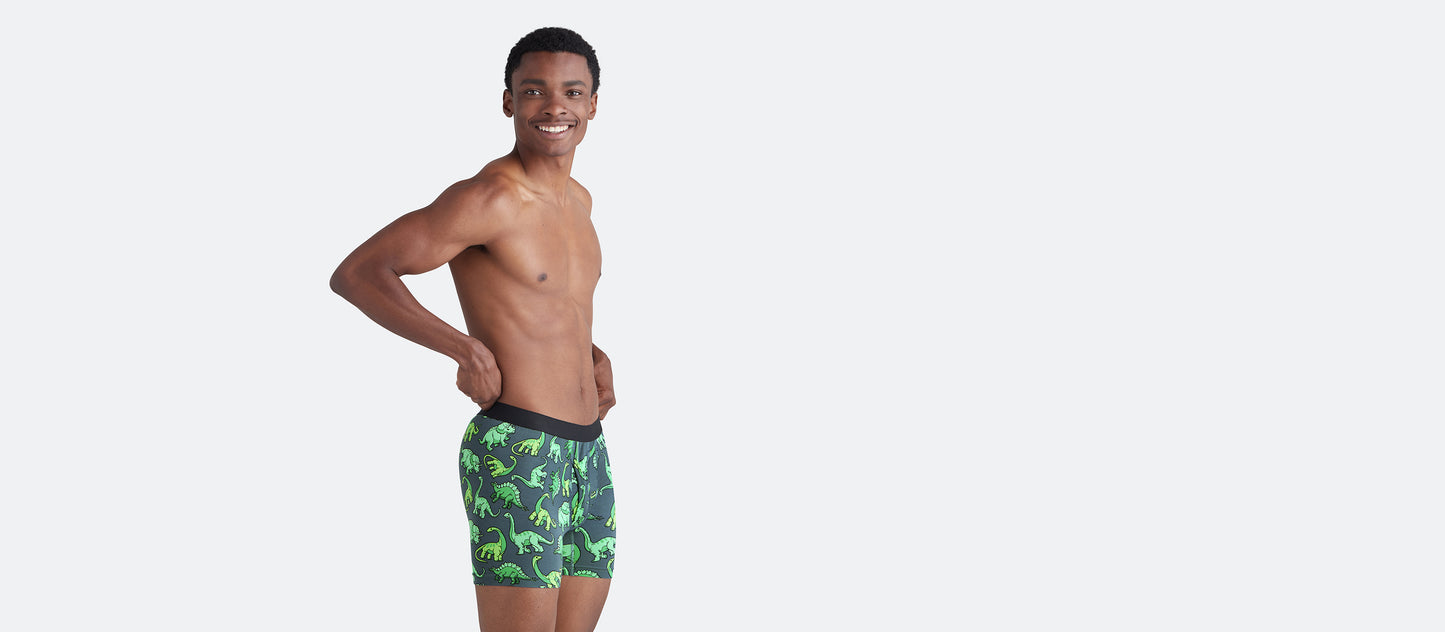 Boxer Brief w/ Fly | Dinos