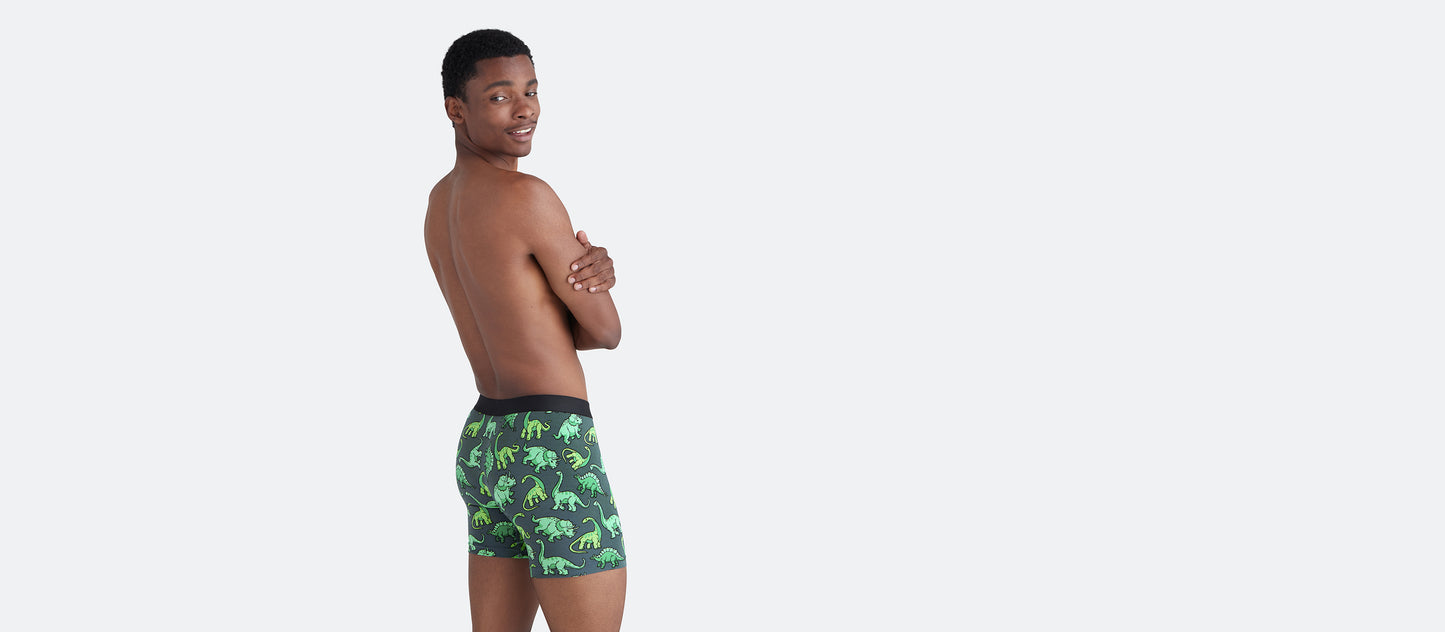 Boxer Brief w/ Fly | Dinos