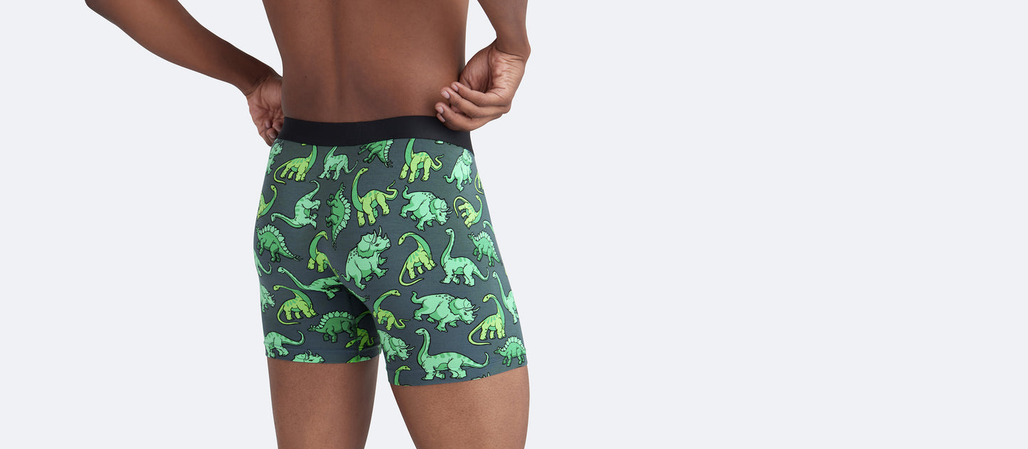 Boxer Brief w/ Fly | Dinos