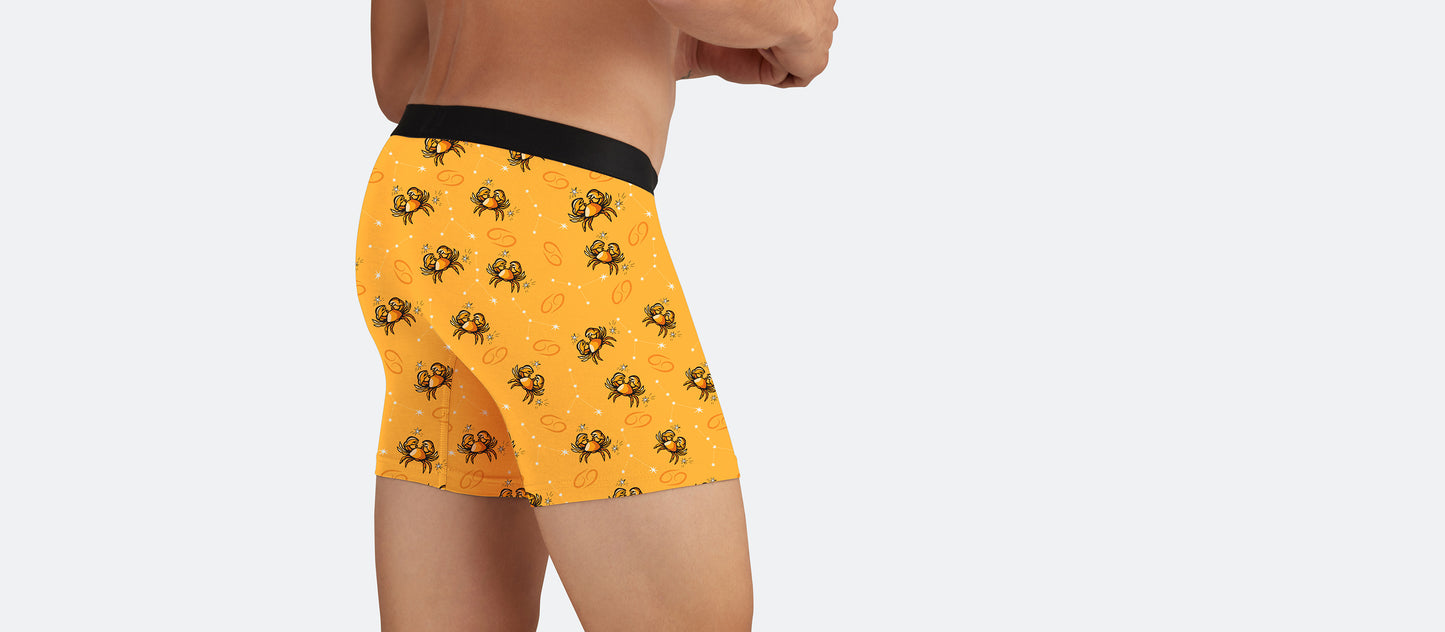 Boxer Brief | Cancer