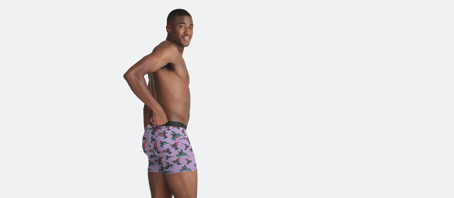 Boxer Brief | Hummingbirds