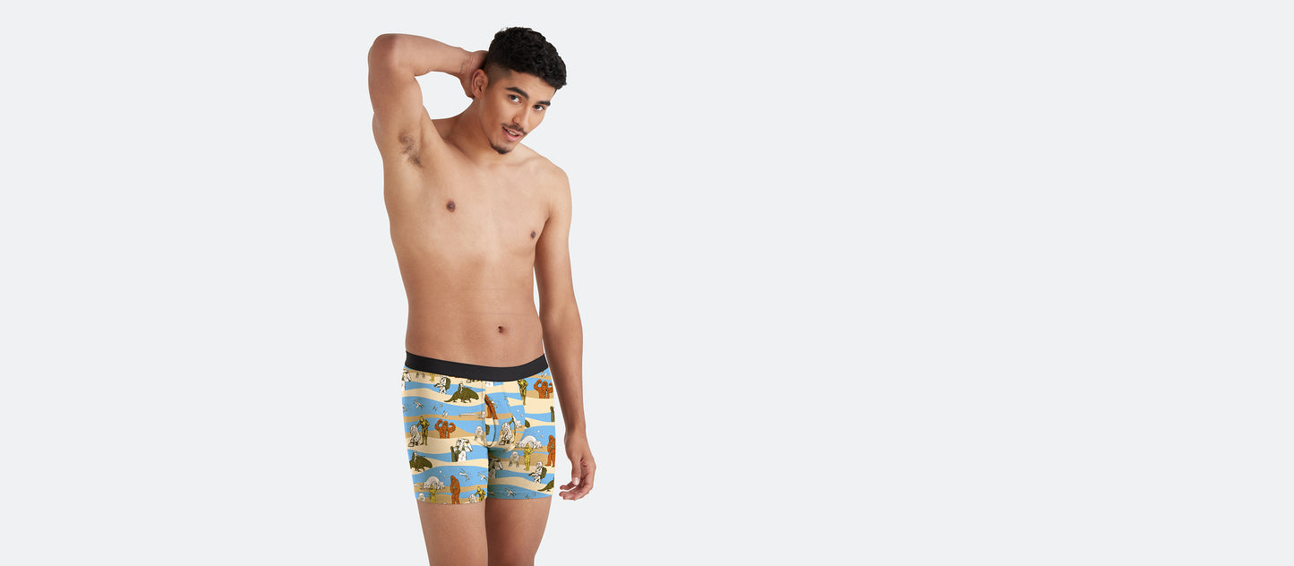 Boxer Brief w/ Fly | Rebel Squadron