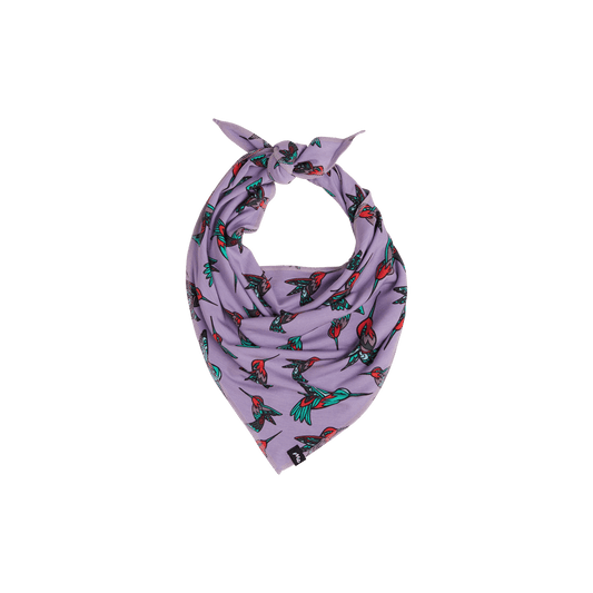 BuddyBands™ | Hummingbirds