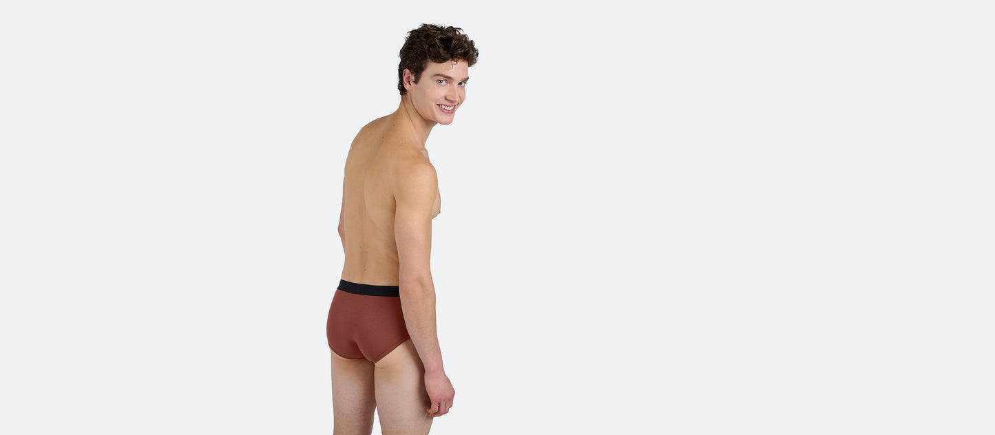 Brief | Cedar Wood