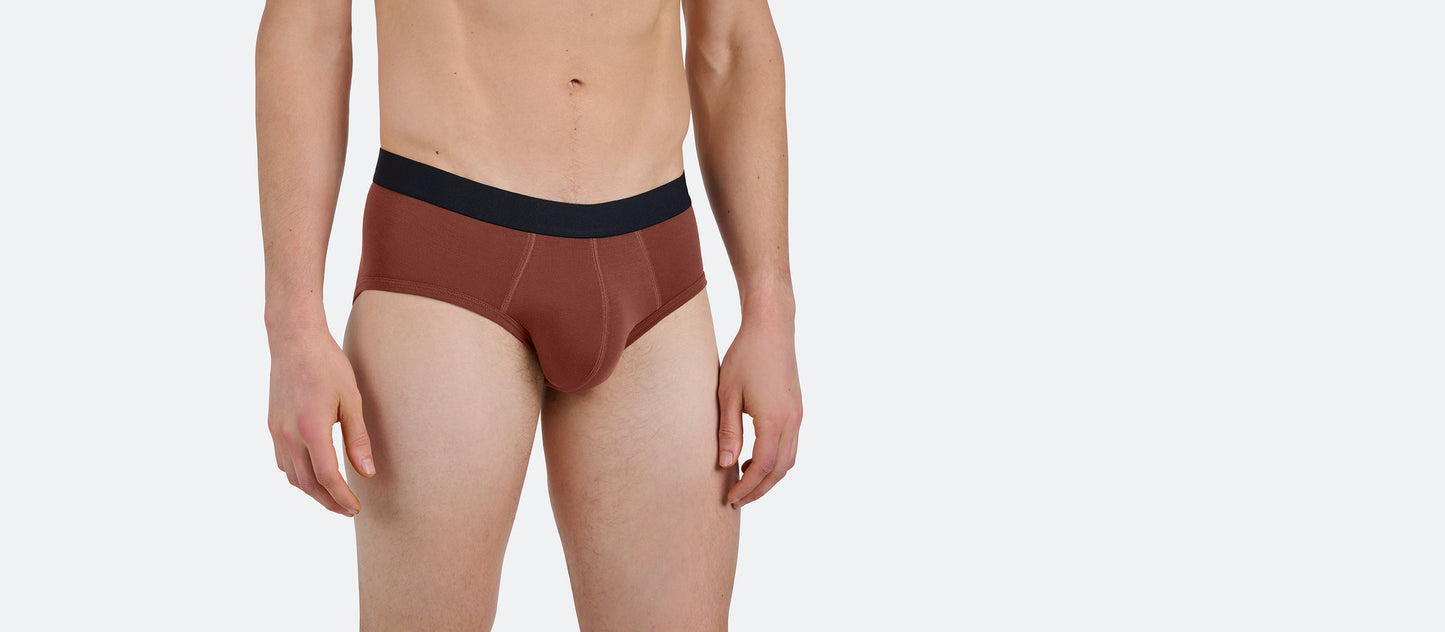 Brief | Cedar Wood