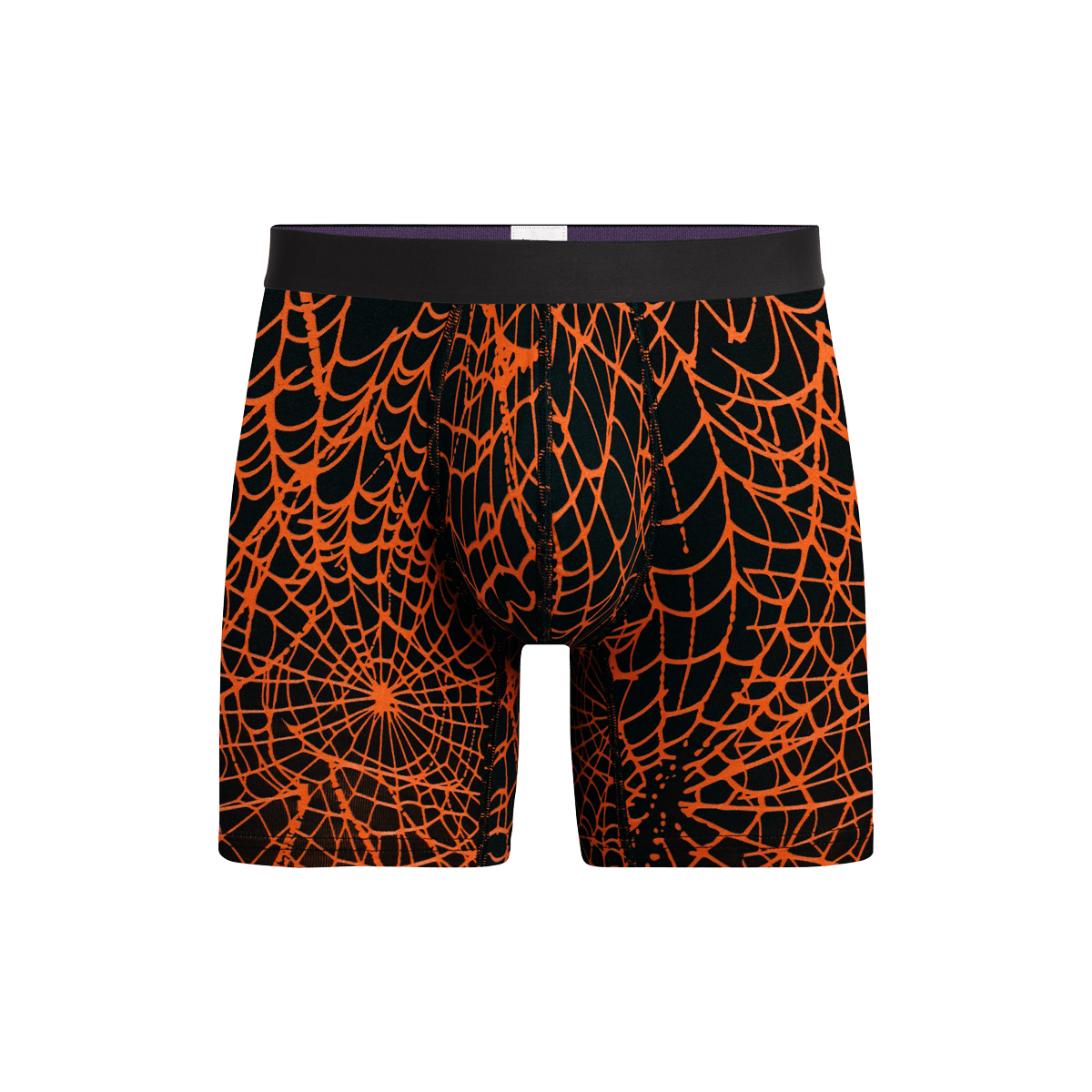 Boxer Brief | Caught in a Web