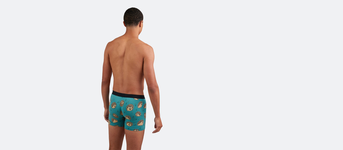 Boxer Brief | Hedgehogs