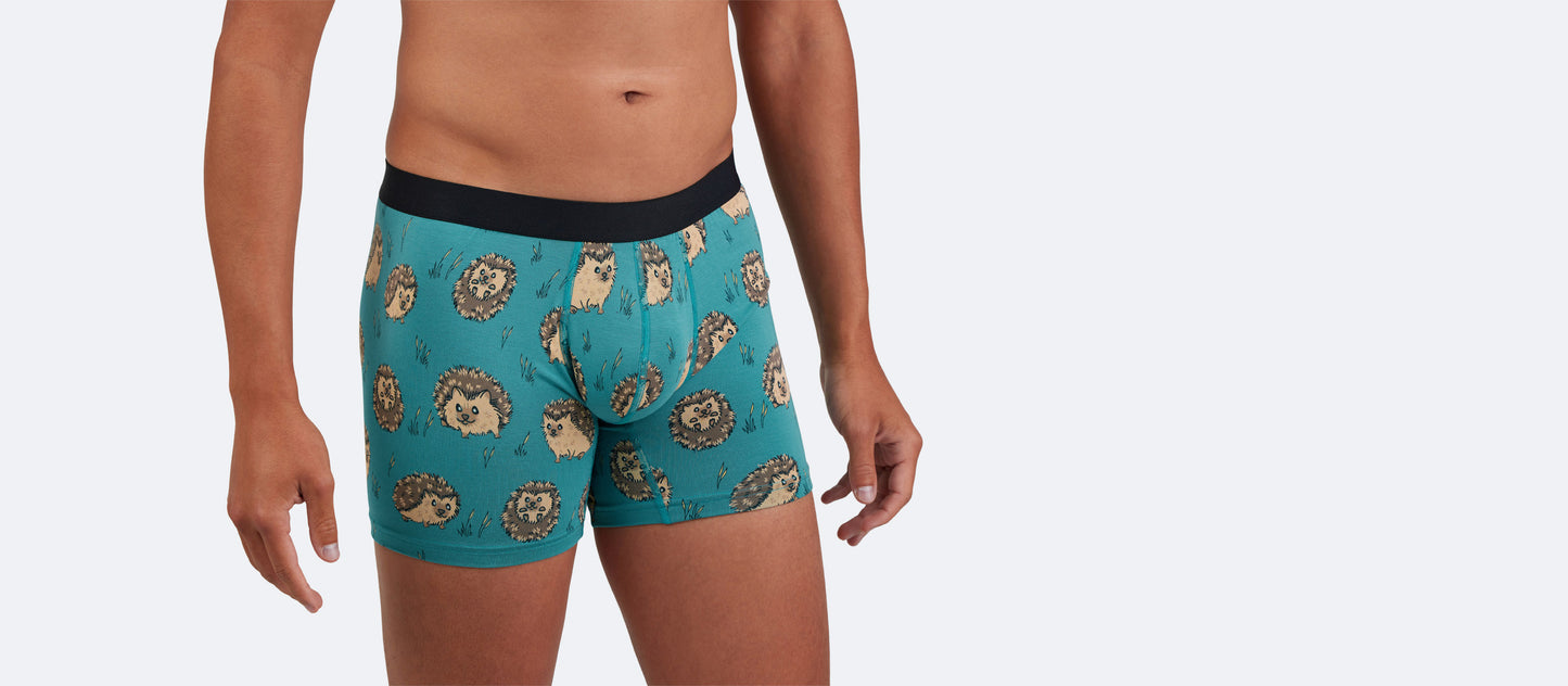 Boxer Brief | Hedgehogs