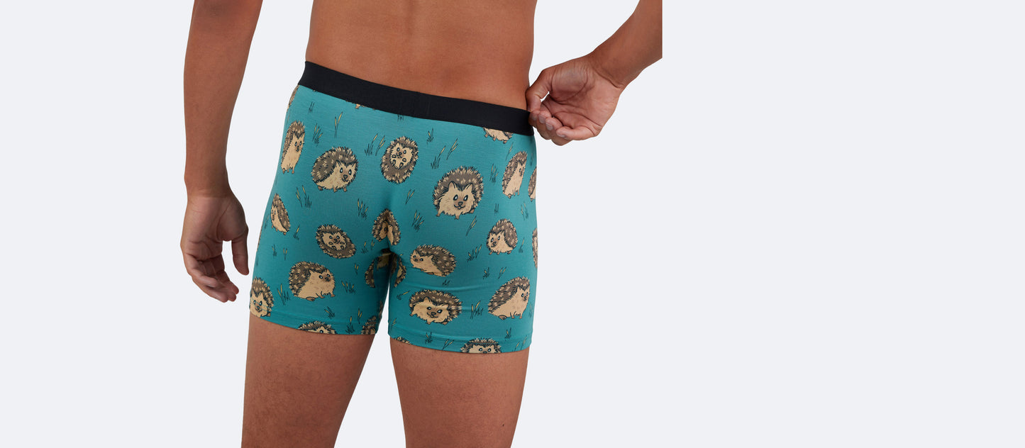 Boxer Brief | Hedgehogs