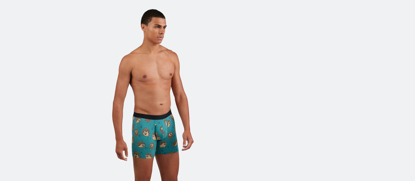 Boxer Brief w/ Fly | Hedgehogs