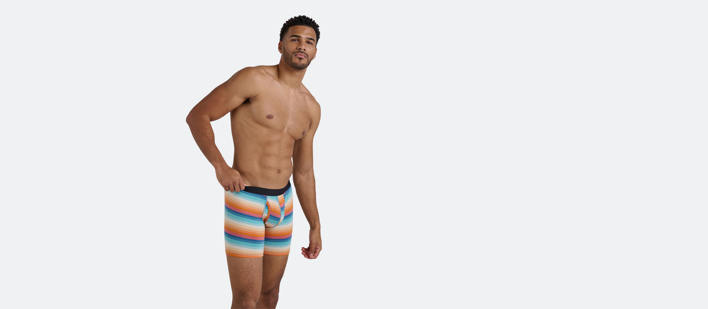 The Ball Caddy™ Boxer Brief w/ Fly | Pool Stripes