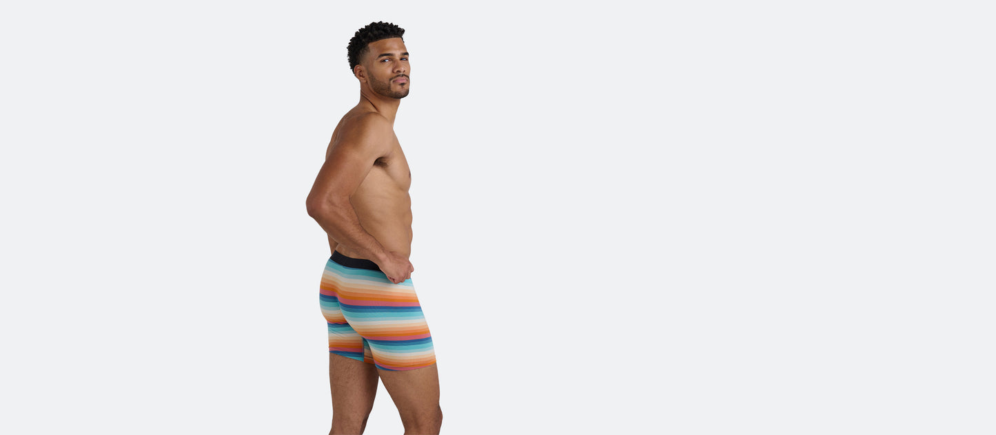 The Ball Caddy™ Boxer Brief w/ Fly | Pool Stripes