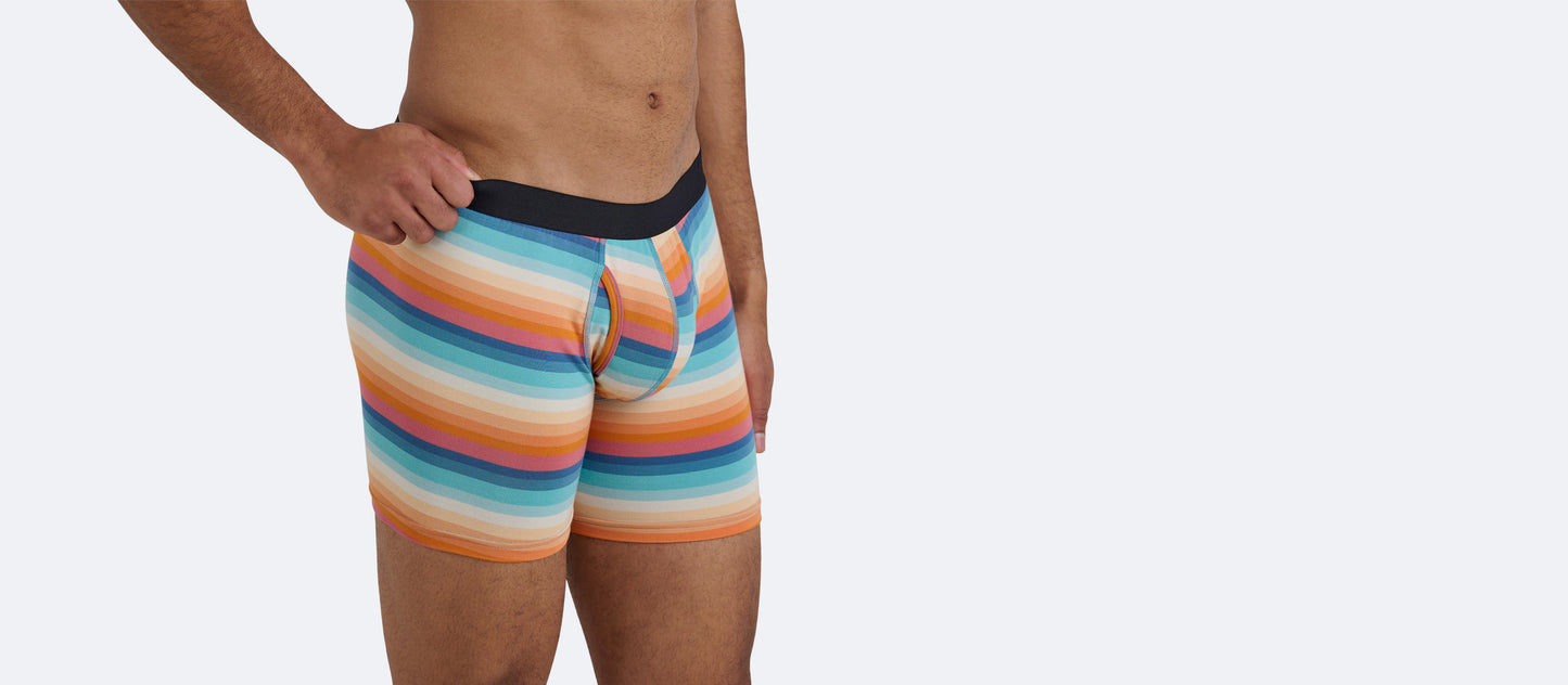 The Ball Caddy™ Boxer Brief w/ Fly | Pool Stripes