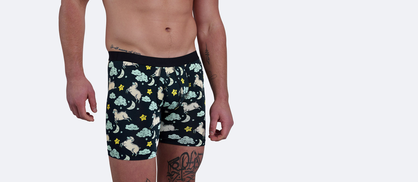 The Ball Caddy™ Boxer Brief w/ Fly | Sound Ashleep