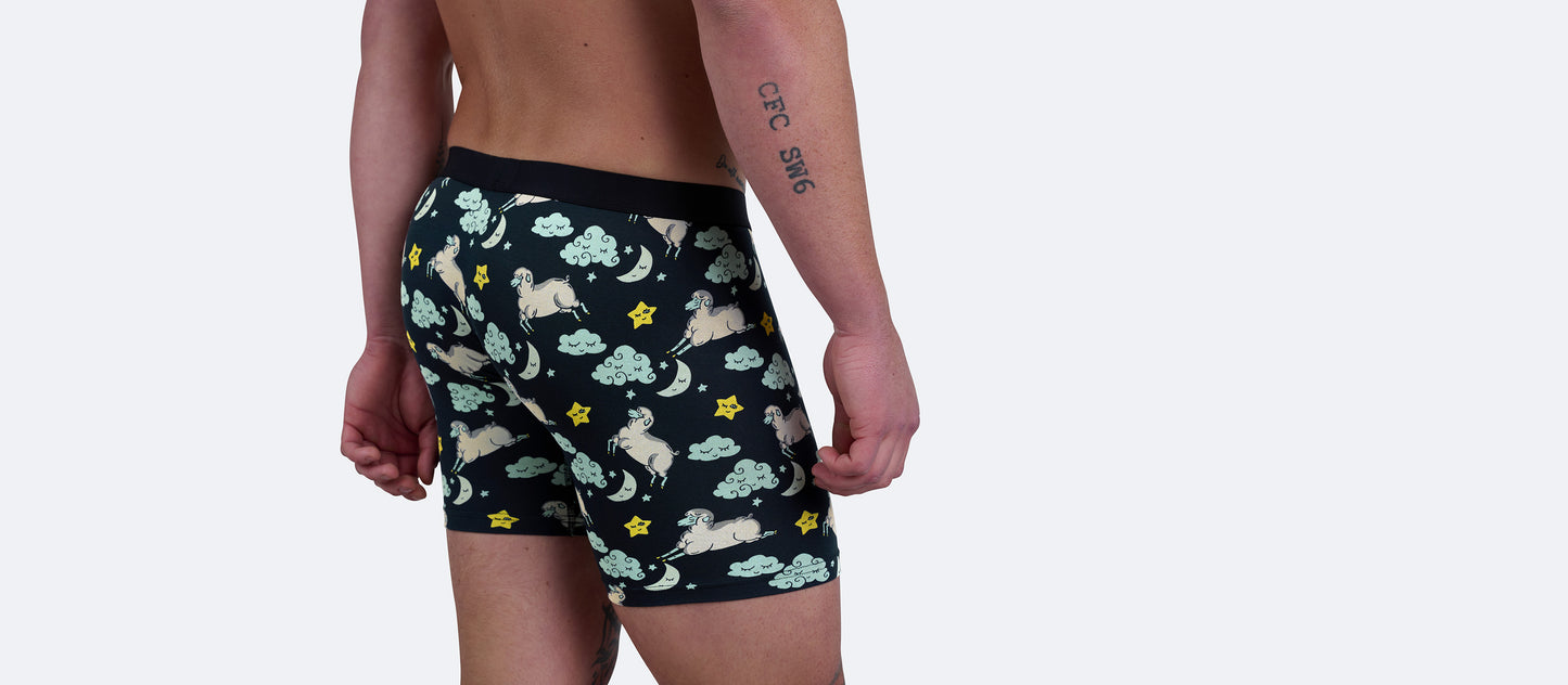 The Ball Caddy™ Boxer Brief w/ Fly | Sound Ashleep