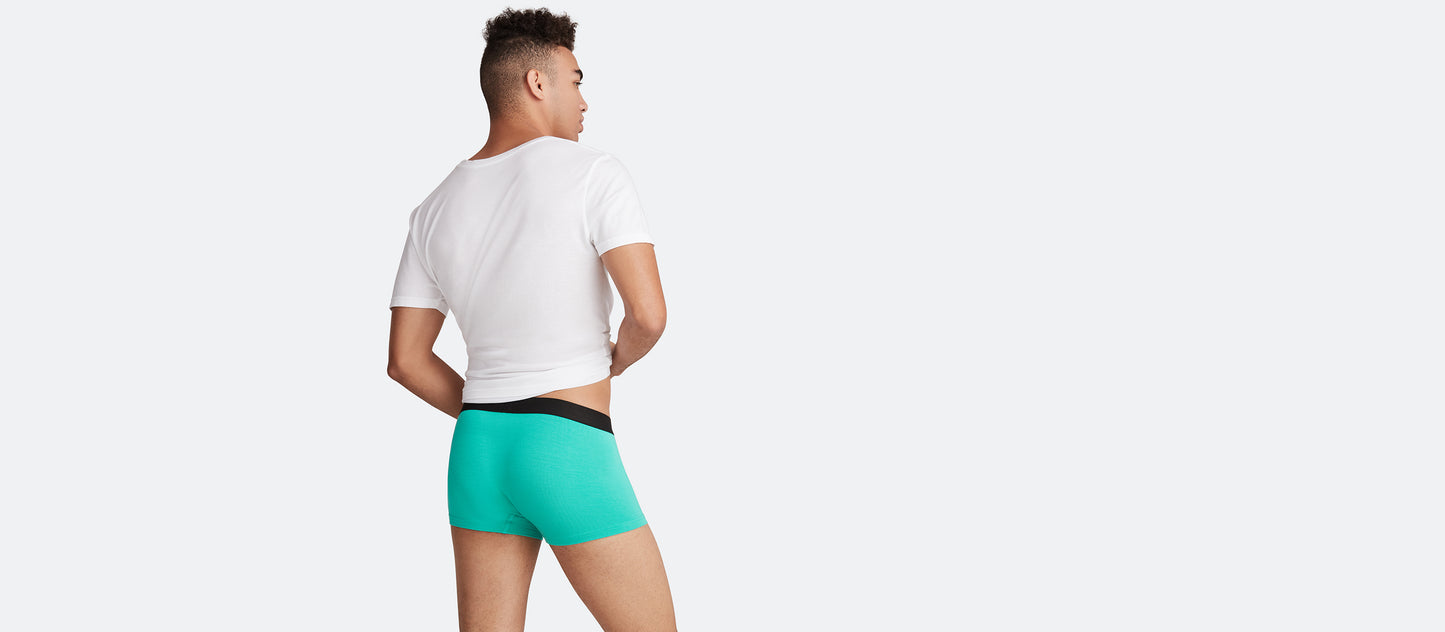 Trunk | Minty Fresh