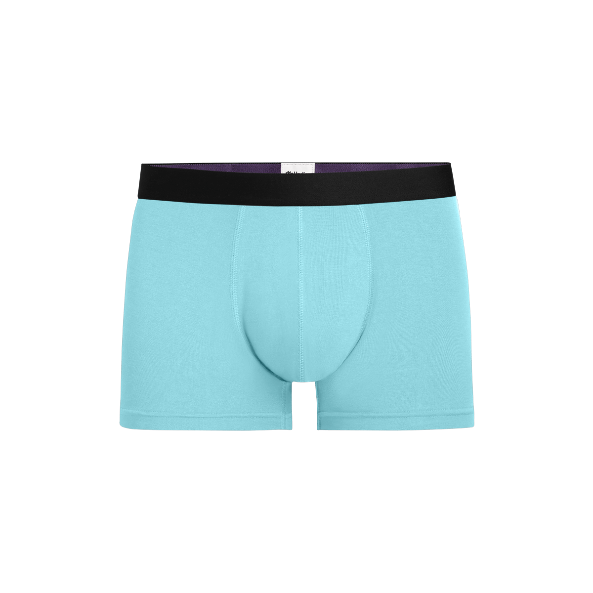 Trunk | Blizzard Blue