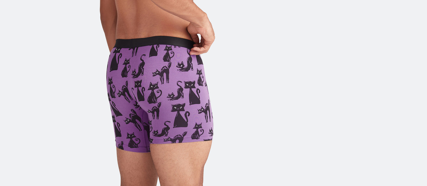 Boxer Brief | Scaredy Cats