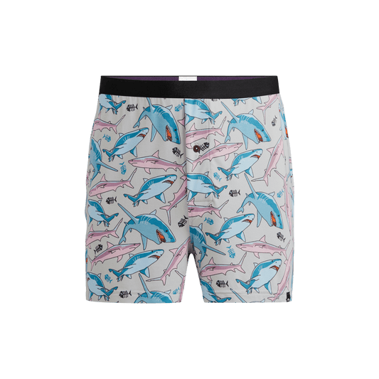 Boxer | Sharks