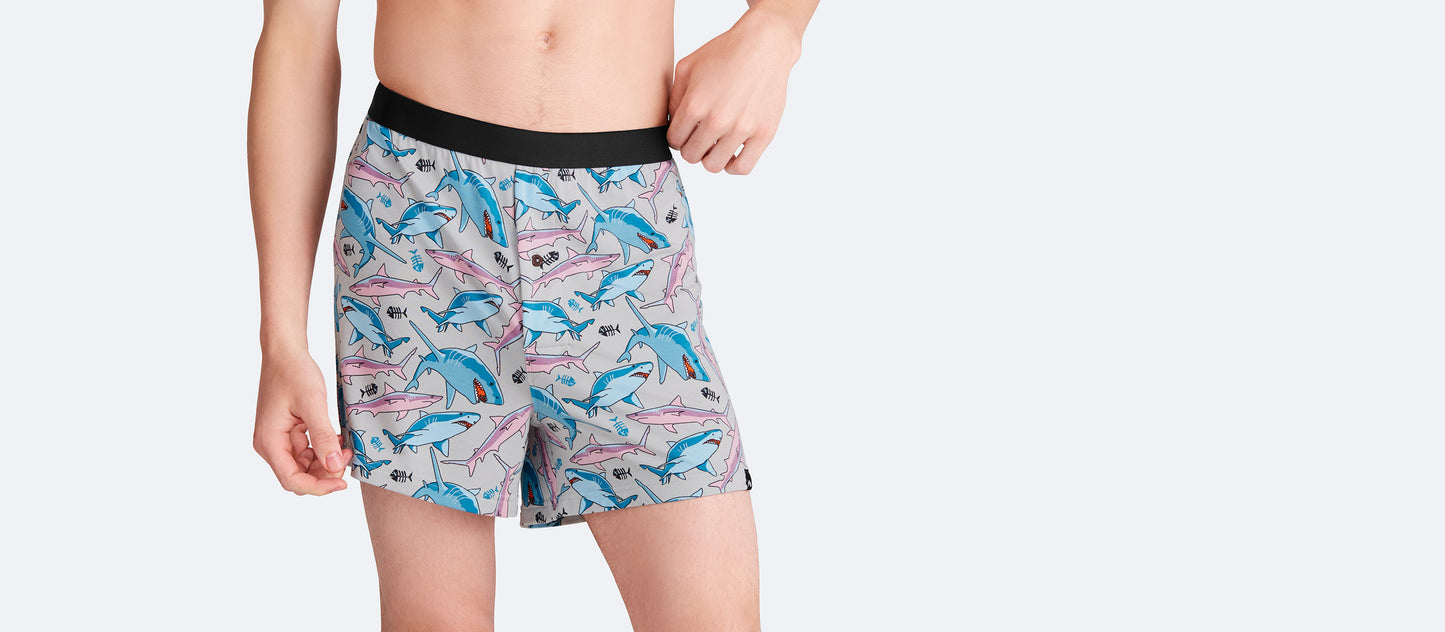 Boxer | Sharks