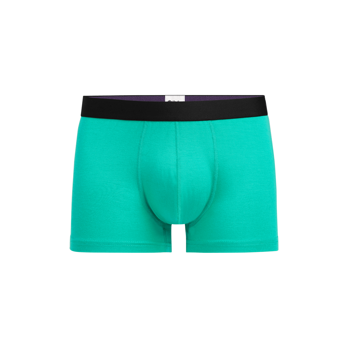 Trunk | Minty Fresh