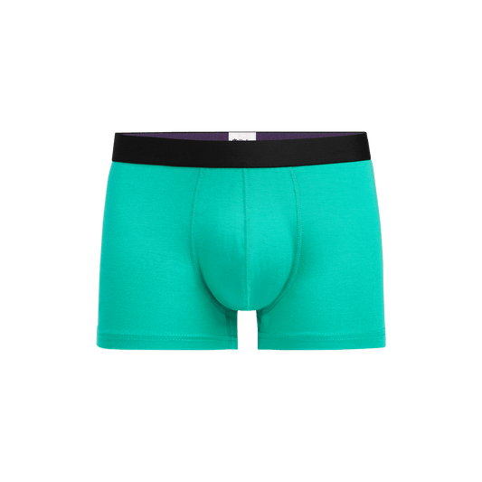 Trunk | Minty Fresh